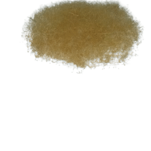 Bush Rye Seeds from Bush Rye