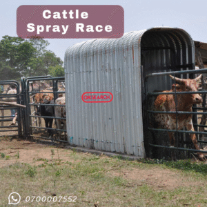 Cattle Spray Race — farm supplies in Kenya