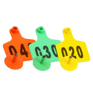 Cow Ear Tags from Cattle